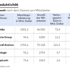 Tabelle zeigt Top 5 Unternehmen nach Gewinn pro Mitarbeiter. Nvidia erzielt mit 2,02 Mio. Dollar den höchsten Gewinn je Mitarbeiter und ist damit das profitabelste Unternehmen.